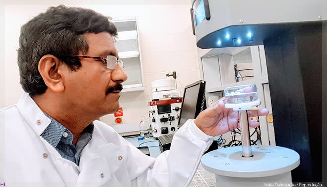 Cientistas desenvolvem enzima produzida a partir de resíduos agrícolas para uso como detergente para a roupa