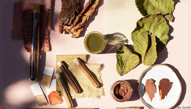 Suvinil lança Paleta Cerrado com cores inspiradas no segundo maior patrimônio natural do Brasil