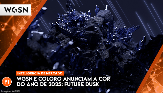 WGSN e Coloro anunciam a cor do ano de 2025: Future Dusk