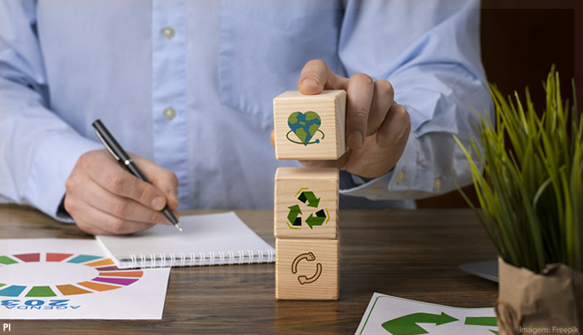 Quatro exemplos para uma estratégia de diferenciação em ESG e inovação