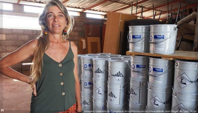 Cientistas testam tinta inseticida que pretende eliminar o Aedes aegypti